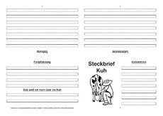 Kuh-Faltbuch-vierseitig-2.pdf
